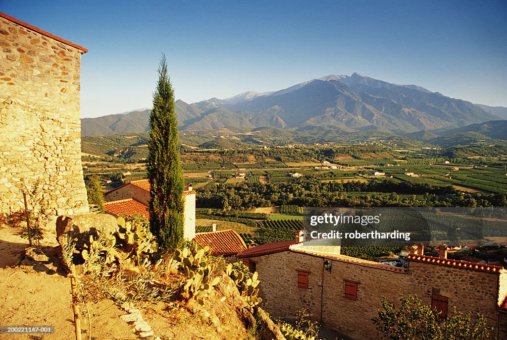 France, Pyrenees, Roussillon, vineyard by Eus village