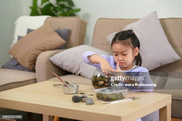child girl making terrarium creativity for relax hobby - terrarium stock pictures, royalty-free photos & images