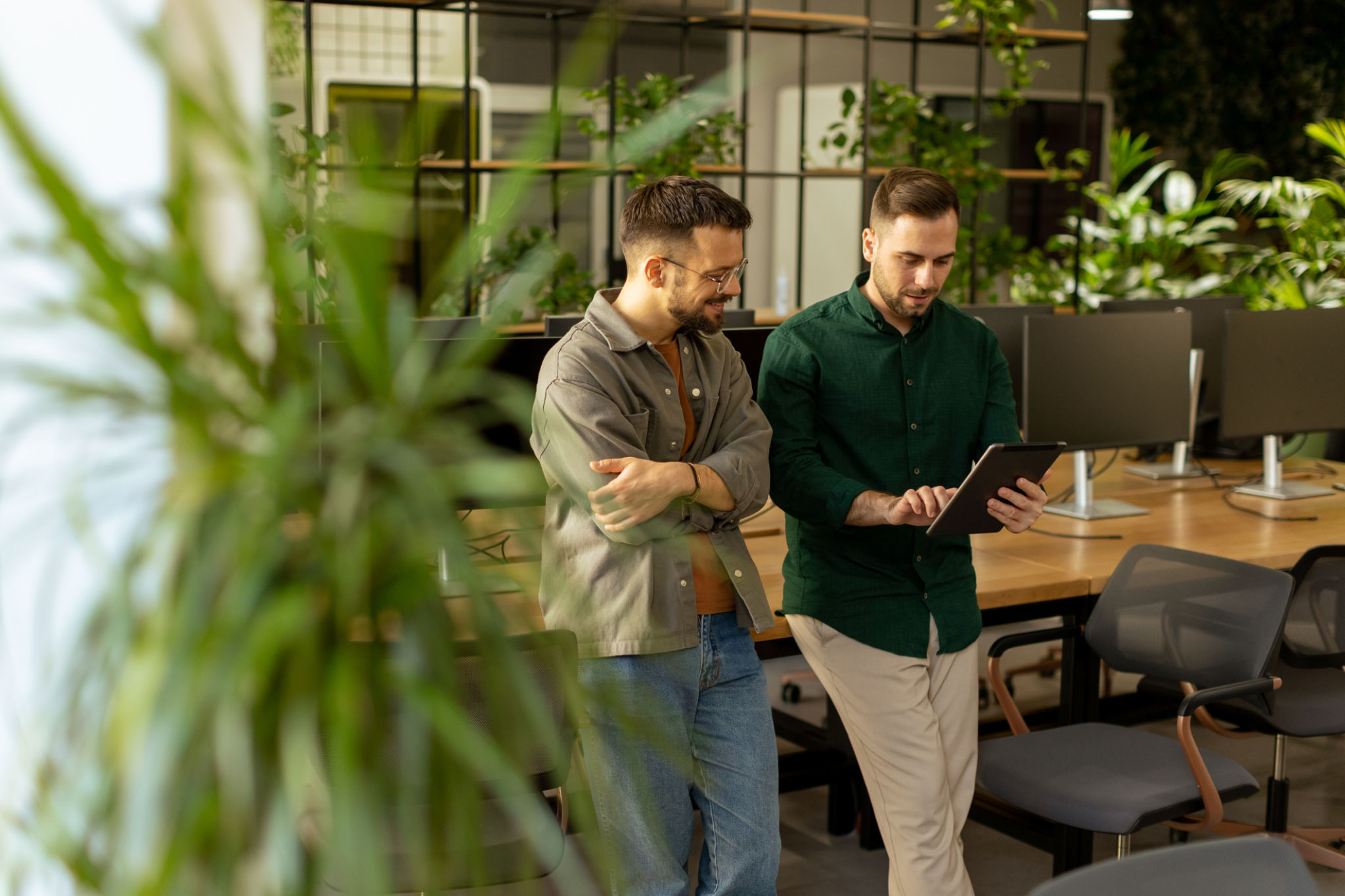 office plants