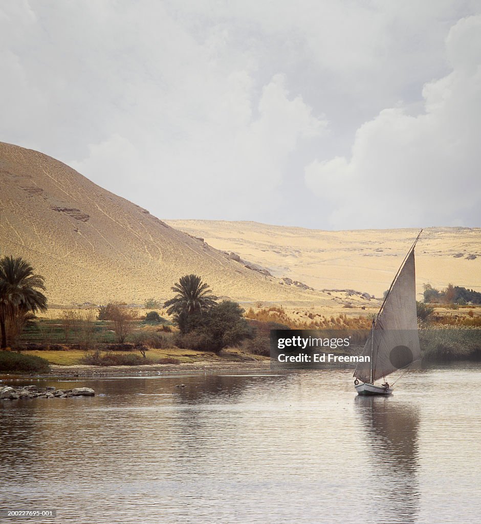 Egypt, Aswan, man sailing felucca on River Nile