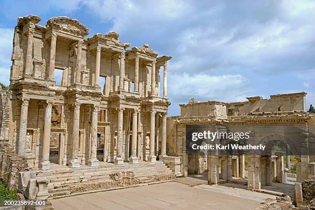 Celcus Celcus Photos and Premium High Res Pictures - Getty Images
