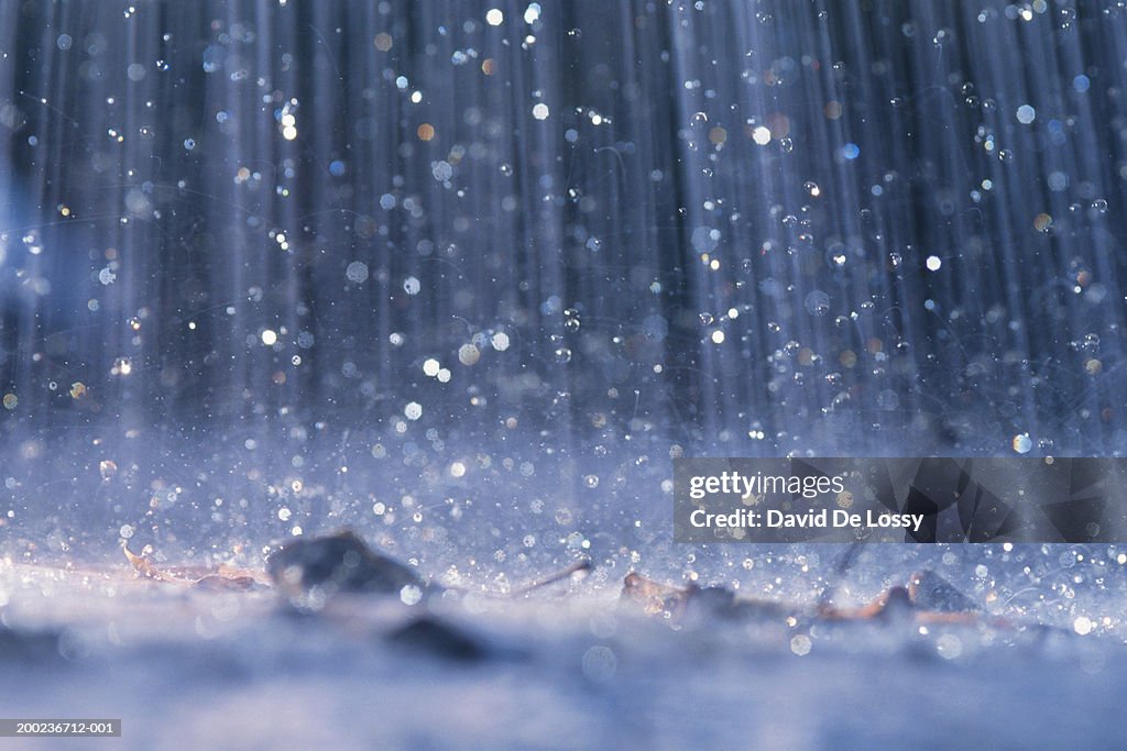 Rain falling on ground