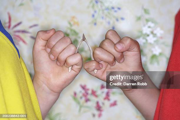 boy and girl (6-8) pulling wishbone, mid section, close-up - wishbone stock pictures, royalty-free photos & images