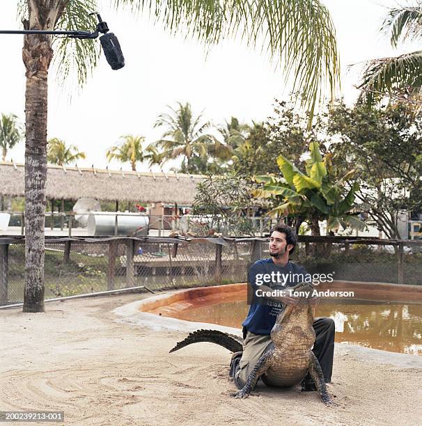 young man wrestling alligator under microphone at alligator farm, - wrestling men stock pictures, royalty-free photos & images
