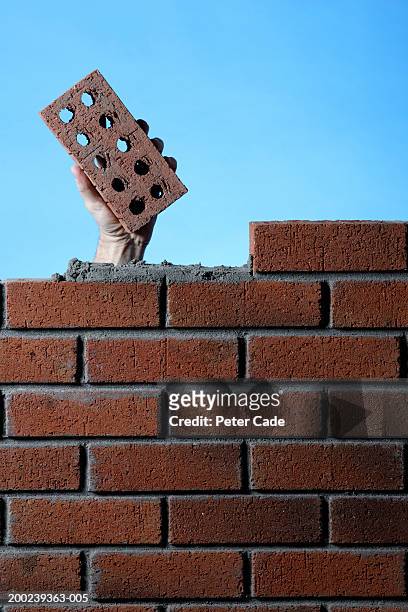 construction worker behind wall, holding brick - brick layer bildbanksfoton och bilder