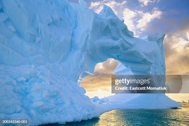 antarctic peninsula, drake passage, iceberg at sea, sunset - drake passage stock-fotos und bilder