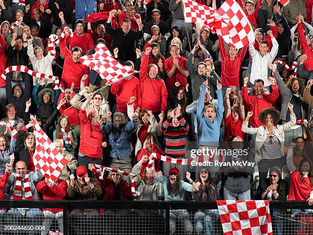 stadium crowd cheering and clapping, waving scarves and flags - supporter scarf stock pictures, royalty-free photos & images