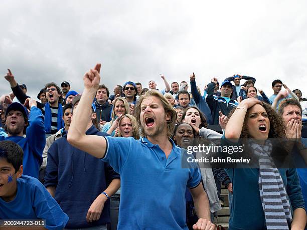 stadium crowd jeering, open mouthed and pointing, low angle view - disappointment stock pictures, royalty-free photos & images