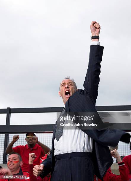 businessman in stadium crowd, punching air, low angle view - stadium cheering stock pictures, royalty-free photos & images