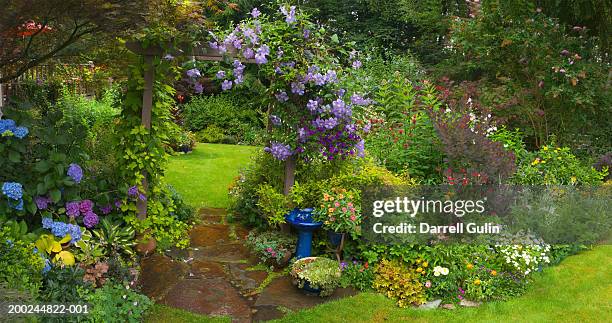 garden with various flowers - hydrangea border stockfoto's en -beelden