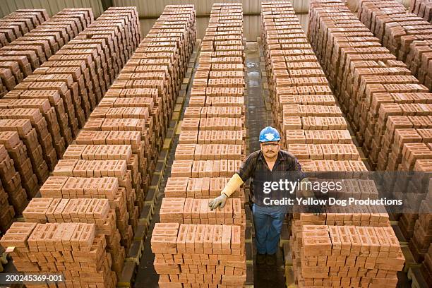 man standing between stacks of bricks, portrait, elevated view - construction material stock pictures, royalty-free photos & images
