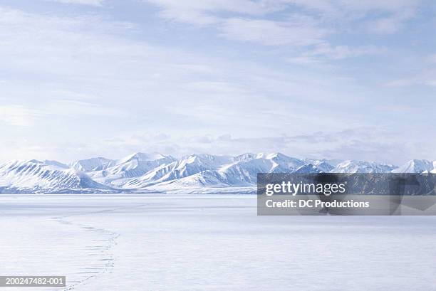 bylot island, nwt, canada - ghiaccio foto e immagini stock