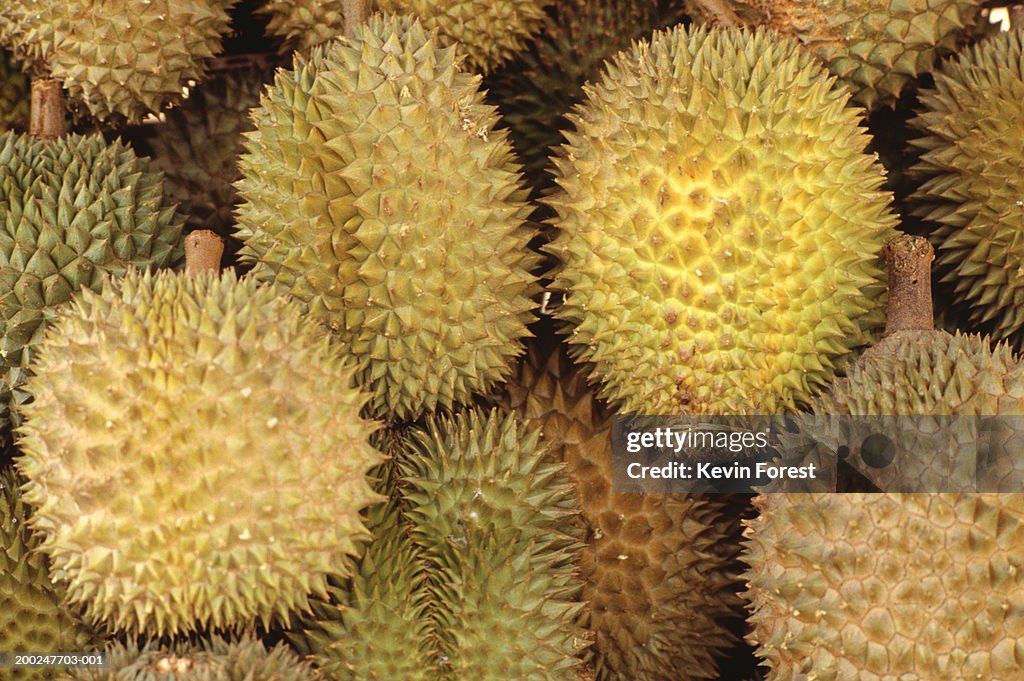 Durian fruits, full frame, (Close-up)
