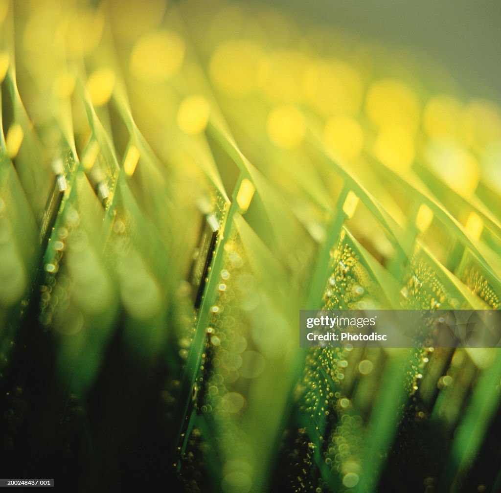 Computer chips, (Close-up)