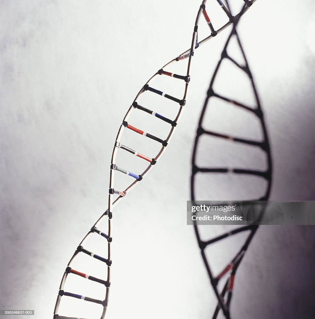 DNA models, (Close-up)