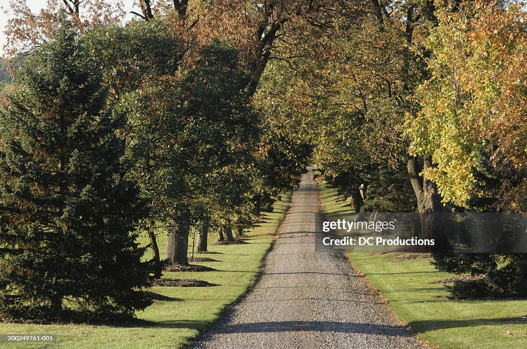 Country road, Buck's County, PA, USA