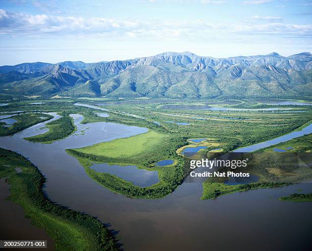 brazil, pantanal, floodlands, aerial view - pantanal stockfoto's en -beelden
