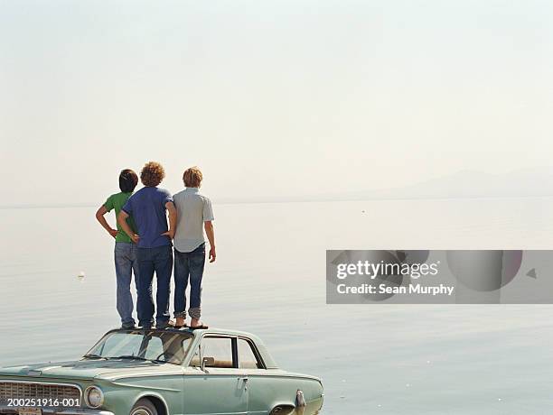 young men standing on roof of car in water, rear view - standing on top of car stock pictures, royalty-free photos & images