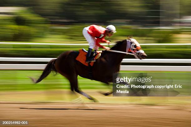 jockey riding thoroughbred horse (blurred motion) - jockey stock-fotos und bilder
