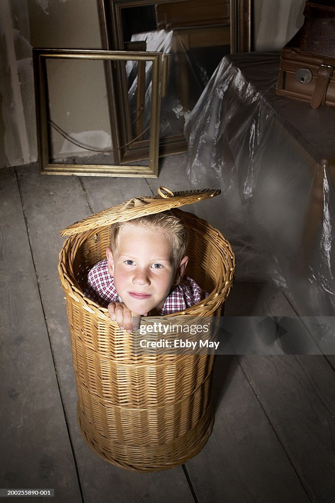 Boy (4-6) inside basket, portrait, elevated view