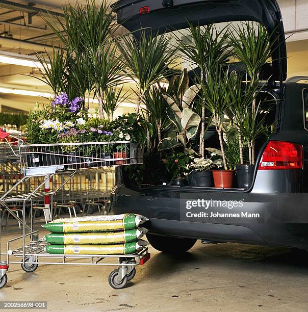 pot plants and bags of soil by plants in boot of car - ferramenta foto e immagini stock