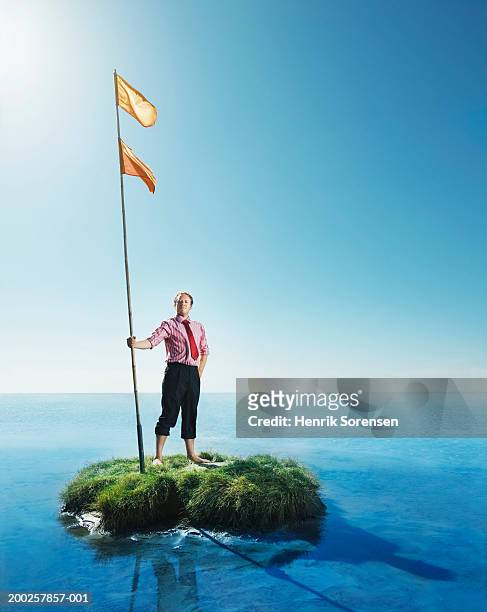 businessman holding flag pole on grass island, smiling, portrait - vlag planten stockfoto's en -beelden