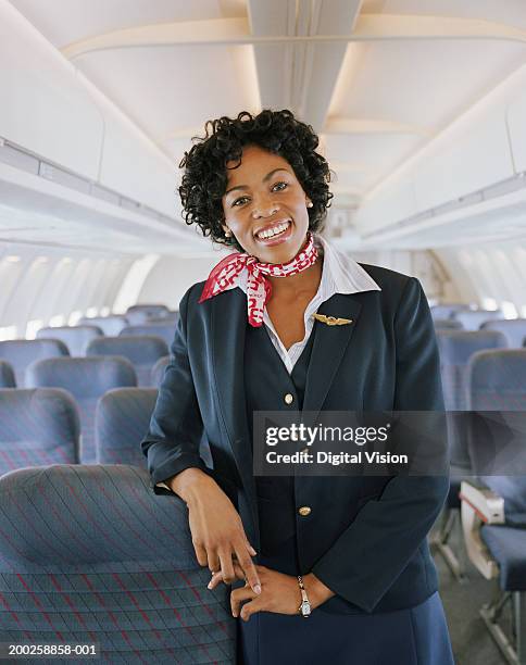 air stewardess on aeroplane, smiling, portrait - hostess foto e immagini stock