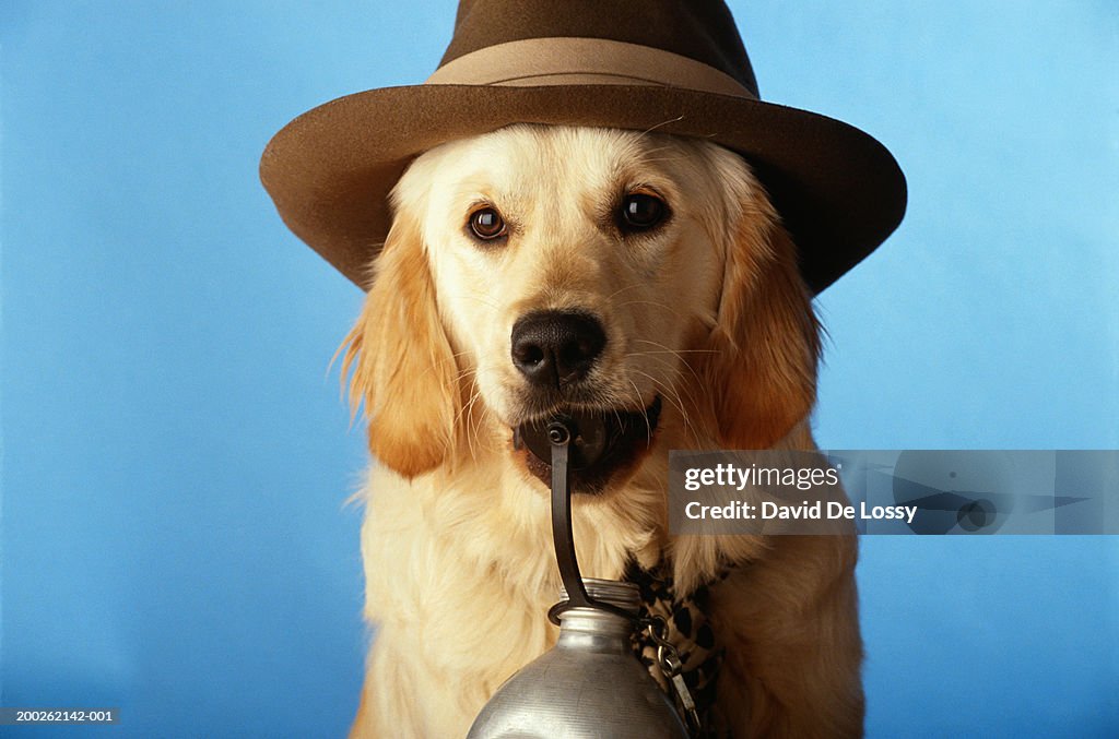 Dog wearing hat with bottle, close-up