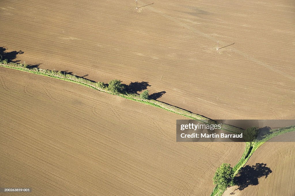 Cultivated field, aerial view