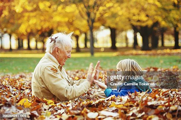 grandfather and granddaughter (3-5) playing in leaves, side view - covering gray hair stock pictures, royalty-free photos & images