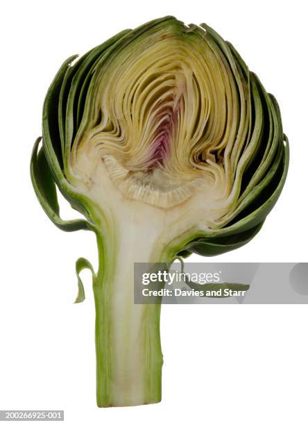artichoke, cross section - artichoke stock pictures, royalty-free photos & images