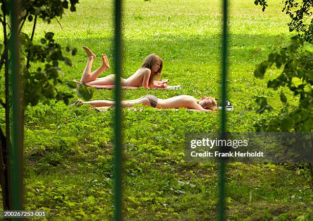 two young women sunbathing topless in park - vouyer stock pictures, royalty-free photos & images