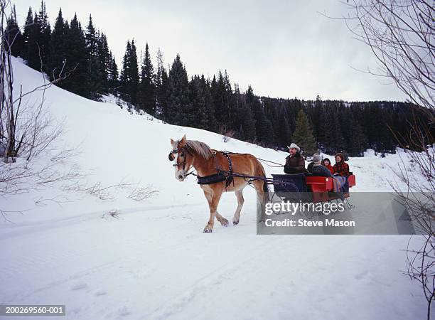 family riding in sleigh on snow covered road - horsedrawn fotografías e imágenes de stock