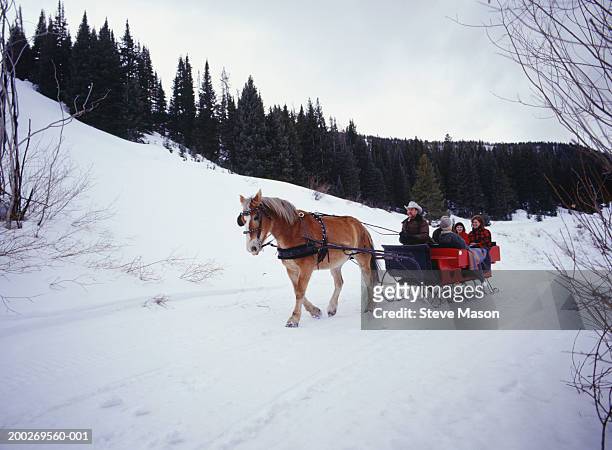 family riding in sleigh on snow covered road - horsedrawn stockfoto's en -beelden