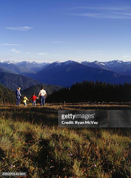 parents with two sons (3-4) (4-5) walking on hill in mountain area - mountain view arkansas stock pictures, royalty-free photos & images