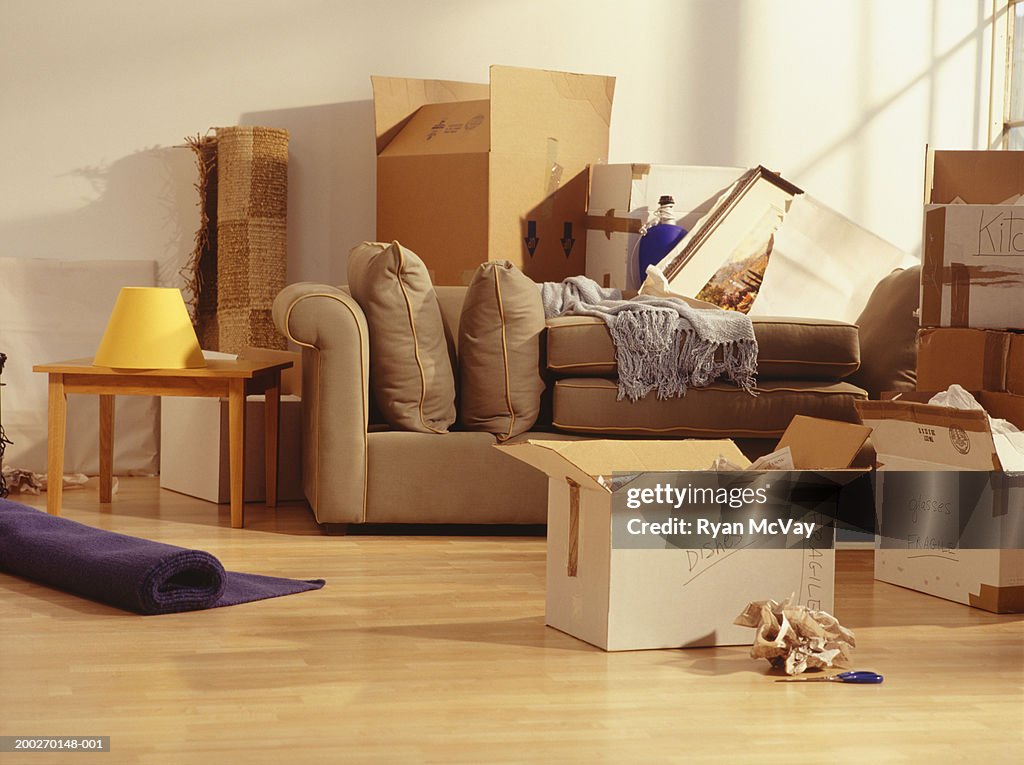 Unpacked moving boxes in Living Room