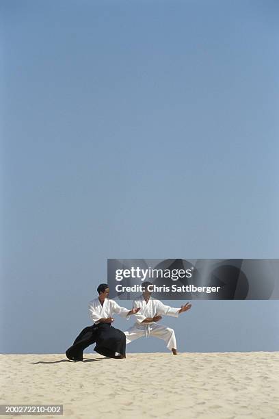 two men practicing aikido in desert - aikido stock pictures, royalty-free photos & images