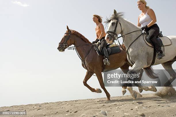 two women riding horses, low angle view - low rider bildbanksfoton och bilder