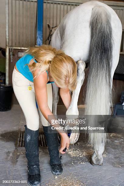 teenage girl (16-18) cleaning horse's hoof - girl bums stock-fotos und bilder