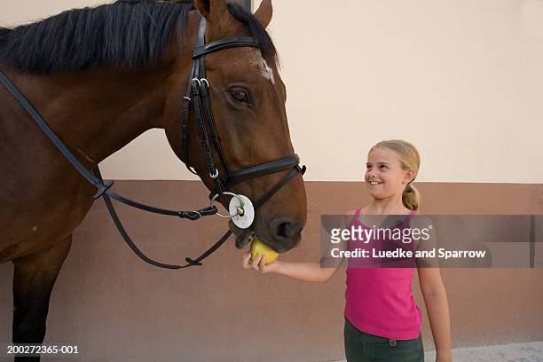 girl (8-10) feeding apple to  horse, smiling - giving a girl head stock pictures, royalty-free photos & images