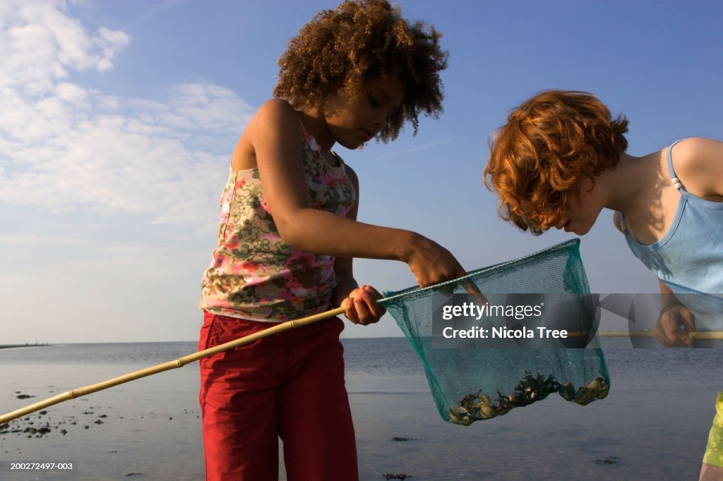 Two Girls On Beach Looking At Contents Of Fishing Net High-Res Stock Photo  - Getty Images