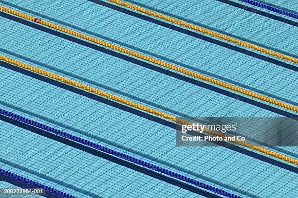 lanes in swimming pool - length stock pictures, royalty-free photos & images