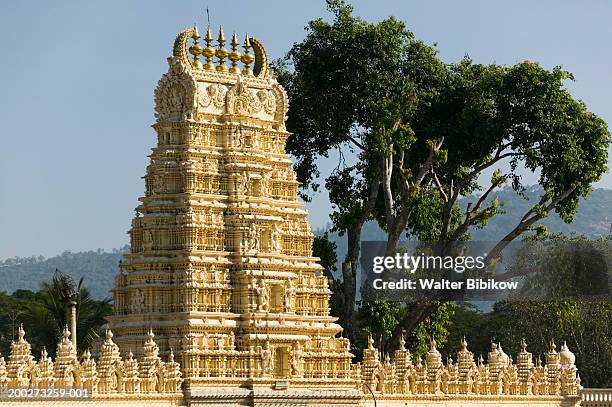 india, karnataka-mysore, majarajah's palace - shweta varahaswamy temple stock pictures, royalty-free photos & images
