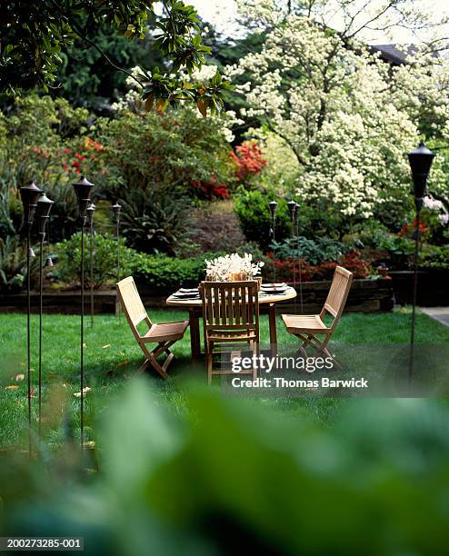 table setting in backyard - garden furniture stock pictures, royalty-free photos & images