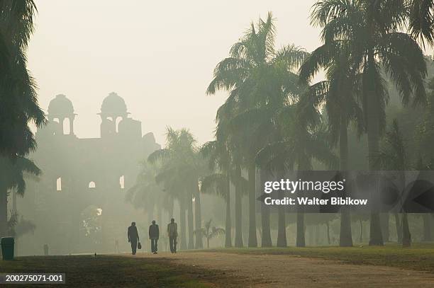 india, delhi, central delhi, purana qila, morning - delhi fog fotografías e imágenes de stock