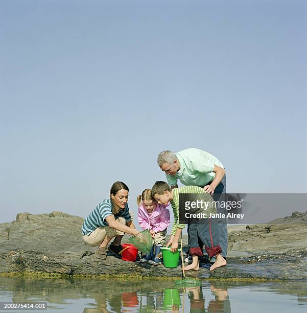 family with fishing nets and buckets by rock pool - tide pool stock pictures, royalty-free photos & images