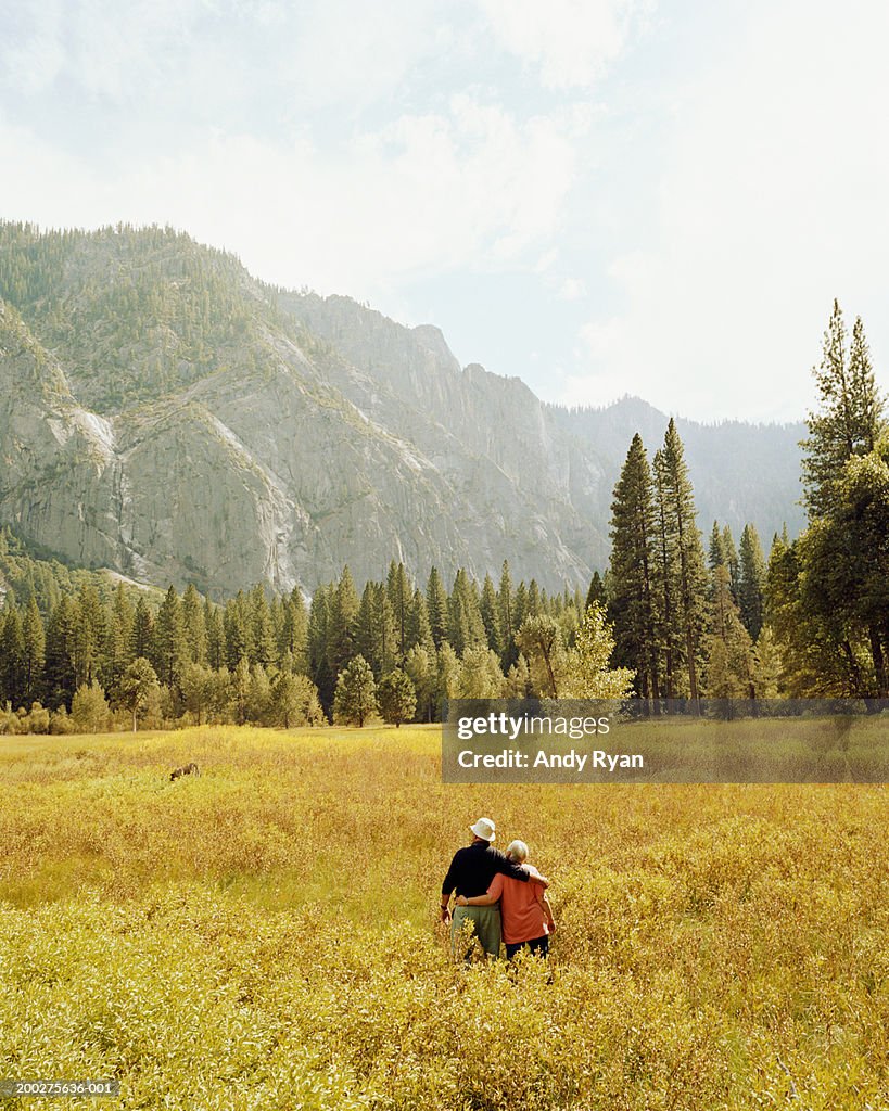 USA, California, Yosemite NP, senior couple in meadow, rear view