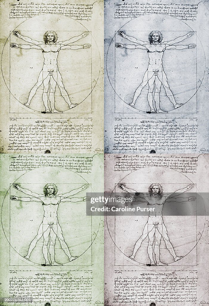 Leonardo Da Vinci's Vitruvian Man (montage)