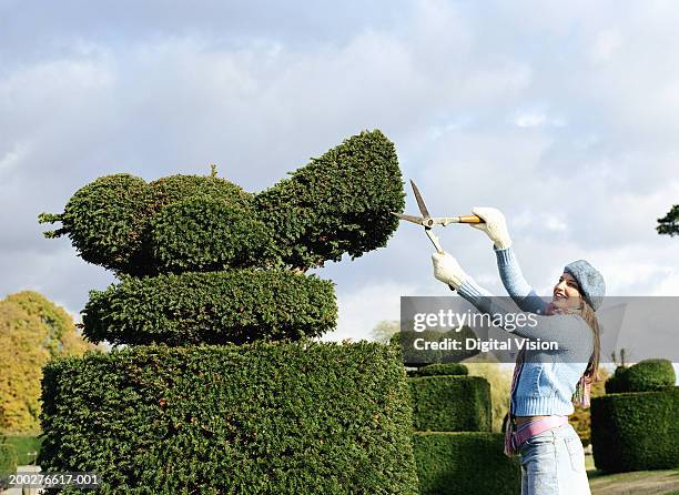 young woman pruning hedge into shape of bird, side view - vormsnoeikunst stockfoto's en -beelden