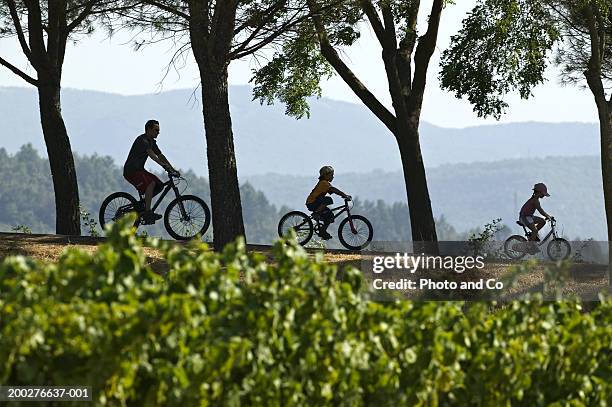 father cycling with son and daughter (5-8) in countryside, side view - family bicycle stock pictures, royalty-free photos & images